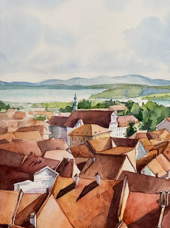 Ptuj city view
