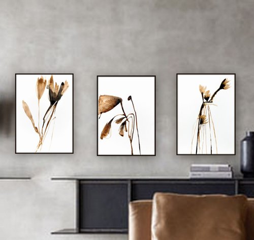 Set of 3 Botanical Artworks. by Nadia Moniatis