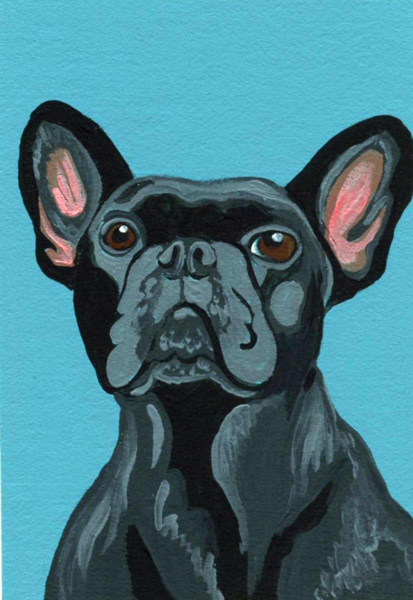 Black French Bulldog by Carla Smale