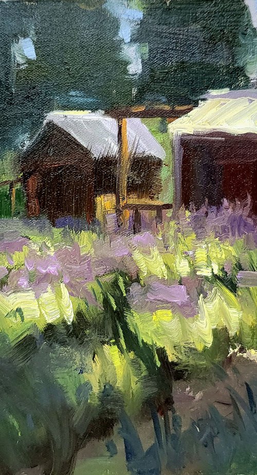 Midsummer Shadows by Kristina Sellers