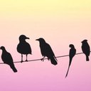 Jeremy Deller