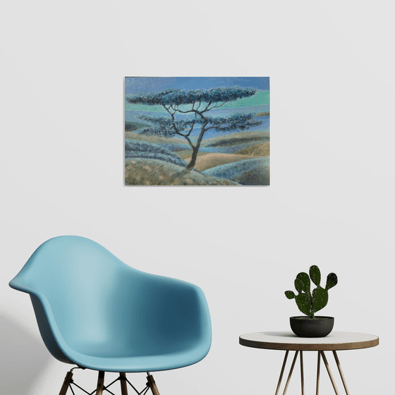 Shore Pine By The Moonlight