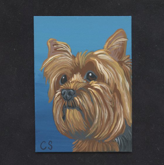 ACEO ATC Original Miniature Painting Yorkie Yorkshire Terrier Pet Dog Art-Carla Smale