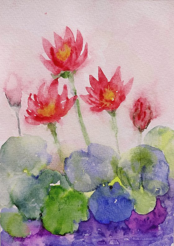 Crimson Water Lilies 12a