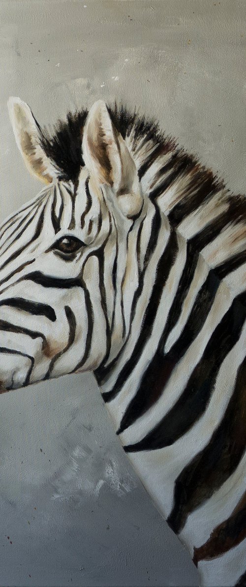 Portrait of a zebra by Lisa Braun