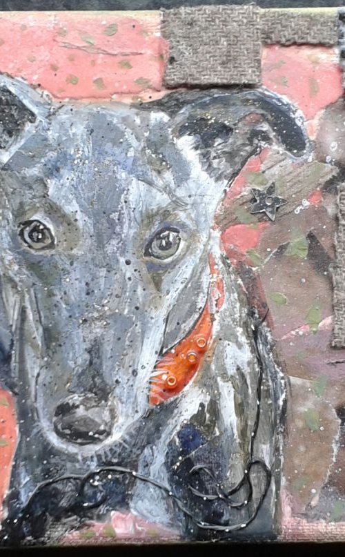 Whippet by Fiona Plaisted