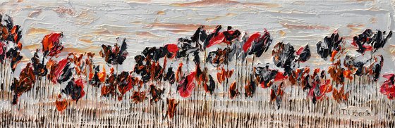 Wild Poppies 1