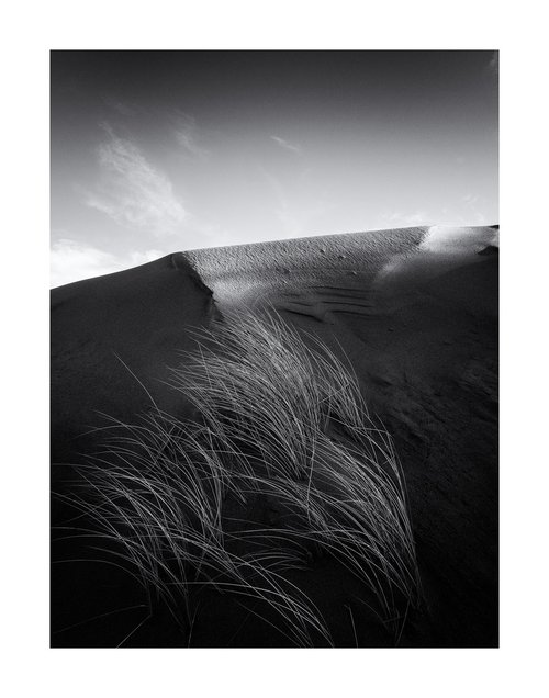 January Days - Grass I by David Baker