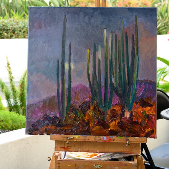 The Moon and Cactuses. Desert Night