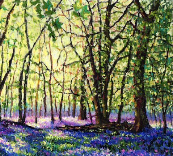 Bluebell Forest Glade