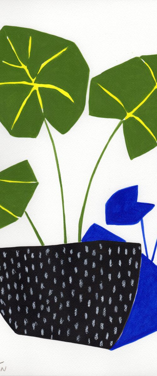 Abstract Plants #13 by Marisa Añón