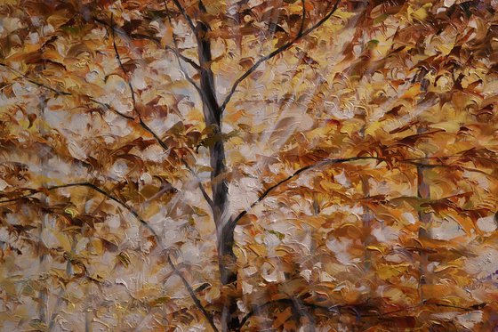 "Rays in a Yellow Leaf"