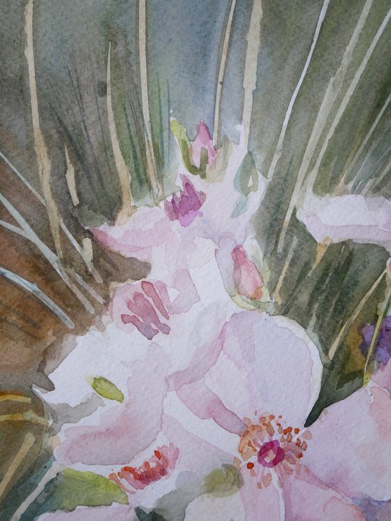 Roses in the grass
