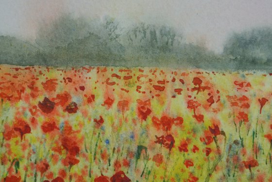 Poppy field at Sunrise - Original Watercolour