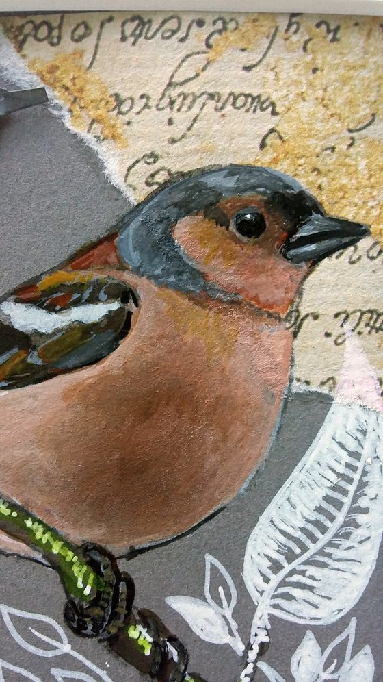 The chaffinch feather  (framed and ready to hang)