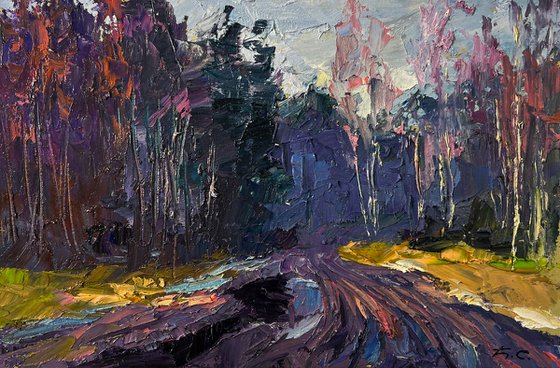The Road to the Forest