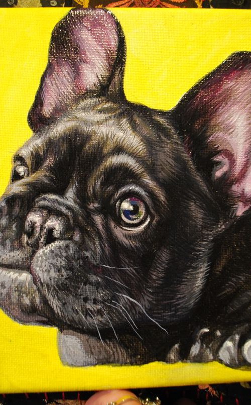Portrait of  bulldog by Lesja Rygorczuk
