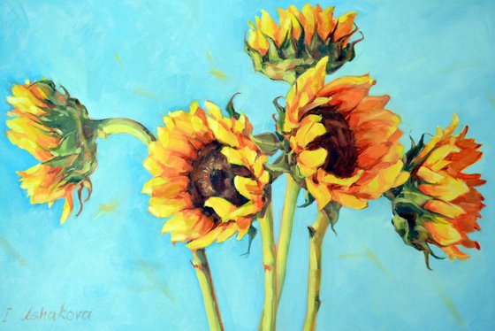 Sunflowers on blue
