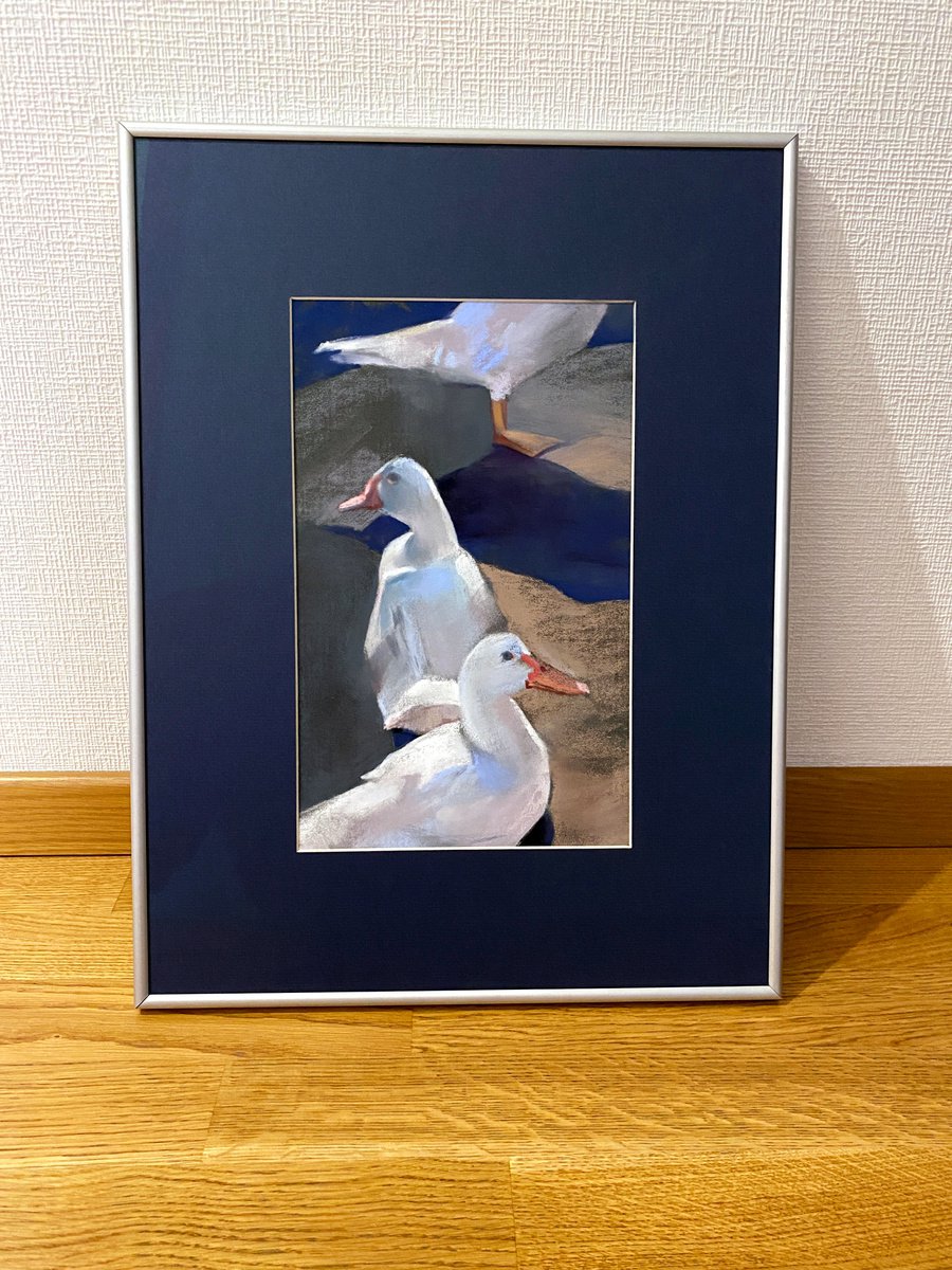 Bird - White ducks - Pastel framed drawing by Yuliia Meniailova