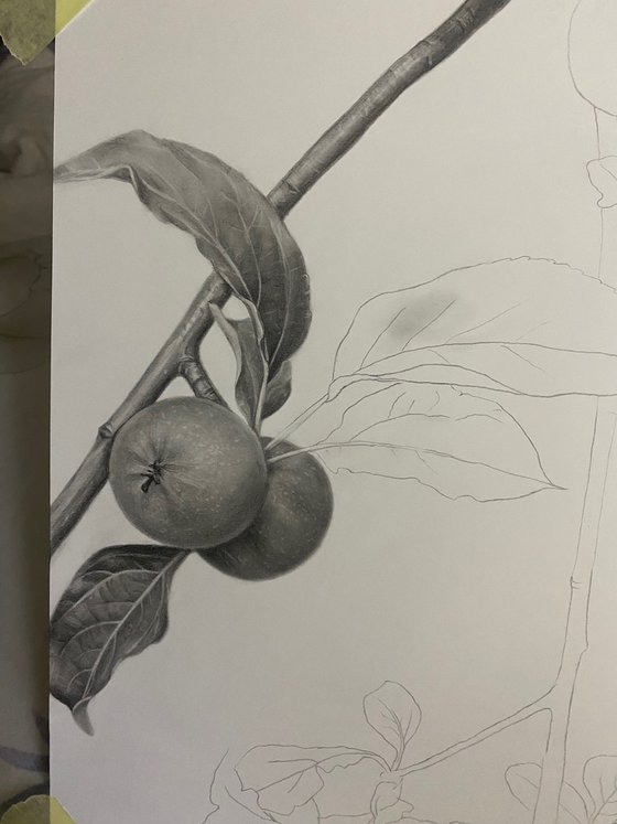 The Taste of Childhood