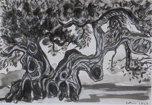 The Recovered Olive Tree by Kirsty Wain