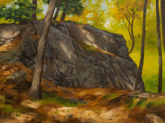 Glacial Boulder