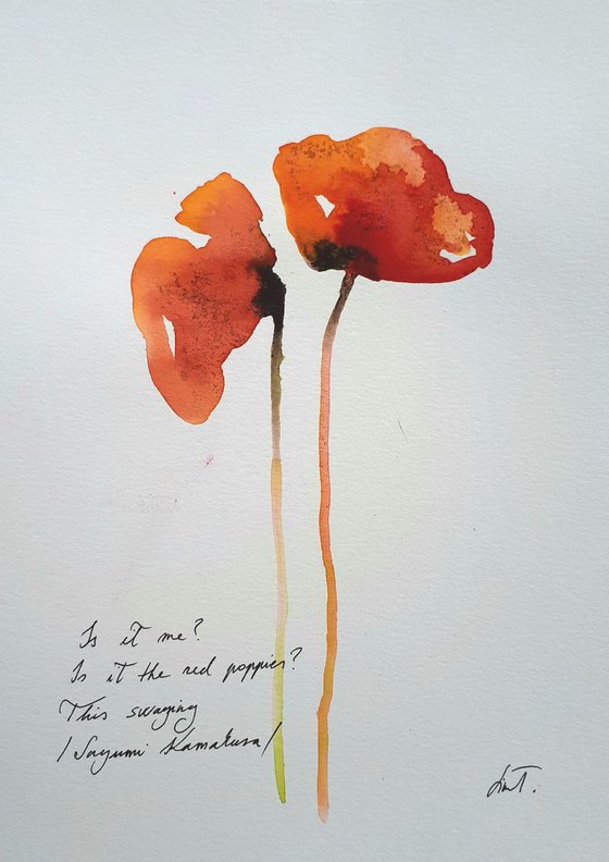 Poppy haiku