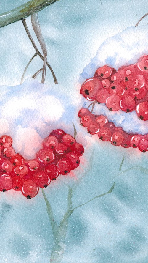 Winter Berries by Marina Omelianenko