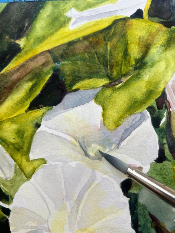 Trumpets in White