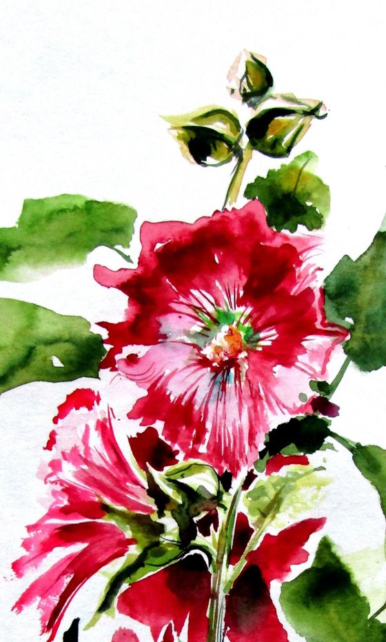 Mallow floral II