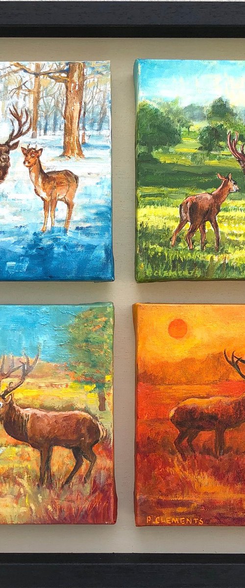 Richmond Park four seasons by Patricia Clements