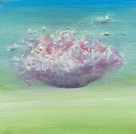 CLOUD SERIES: LIMELIGHT