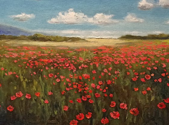 Poppies near the sea