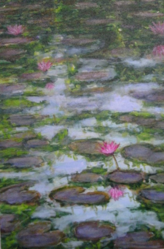 Water Lilies