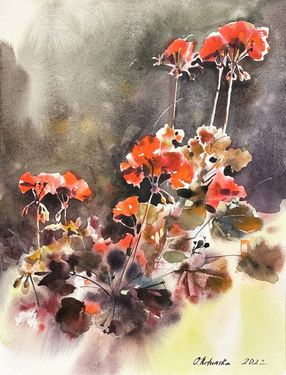 Geranium 2