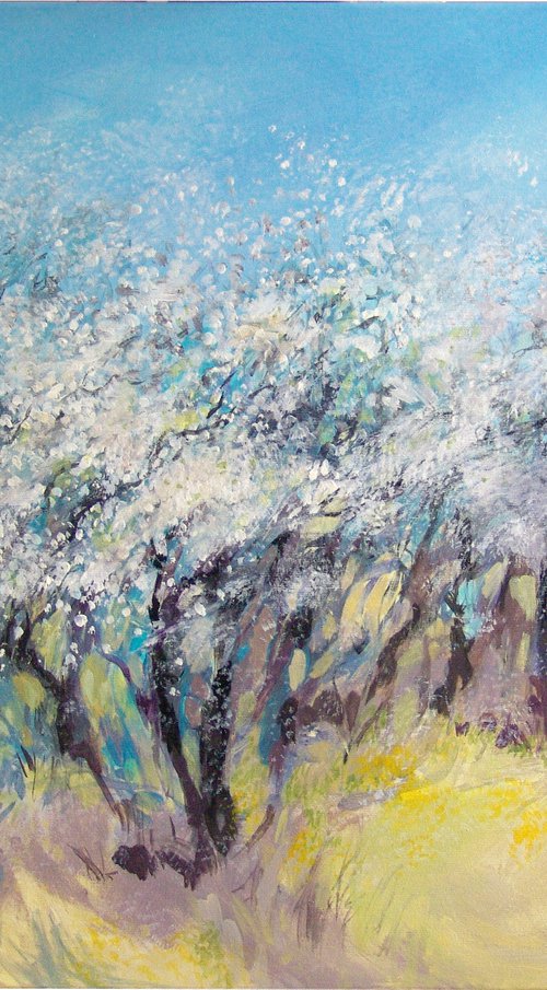 Blackthorn - spring light by Jolanta Czarnecka