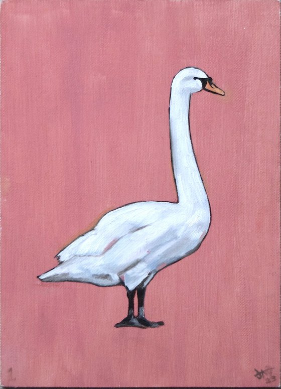 Swan Study #1