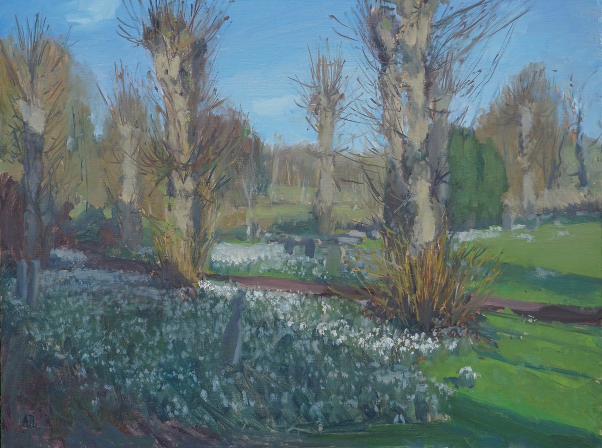 Impressionistic Landscape Oil Painting By Alex James Long, 16 X 12, Snowdrops In Afternoon Light, Original Artwork