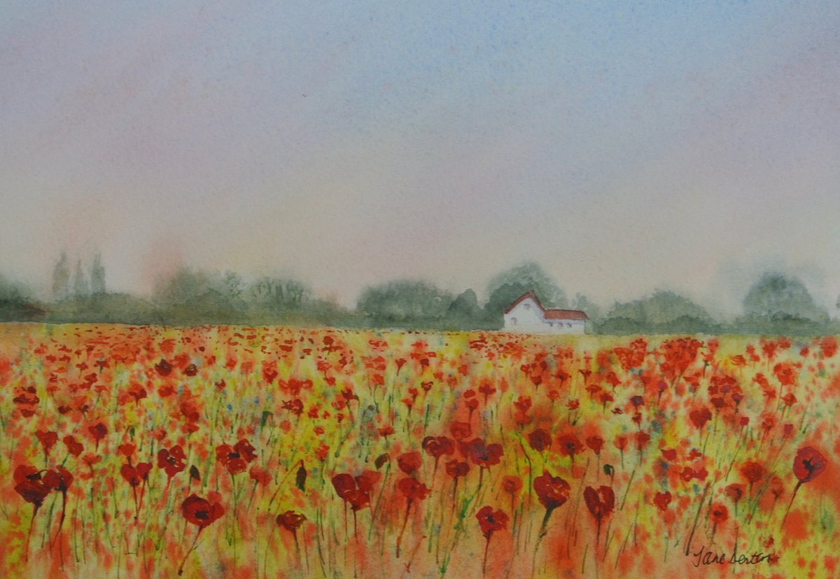 Poppy field at Sunrise - Original Watercolour by JANE DENTON