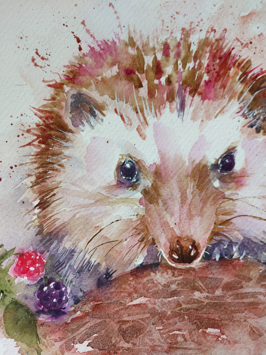 Bramble the hedgehog by Sue Green