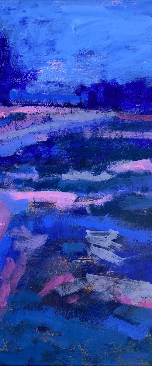 Walking in the Dimity by Chrissie Havers