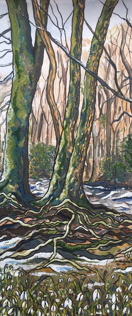 Wintry Woods and Snowdrops by Lucy Smerdon