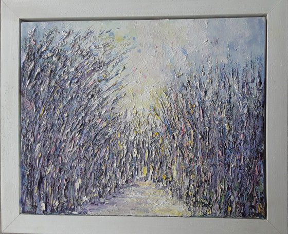 Scent of Lavender