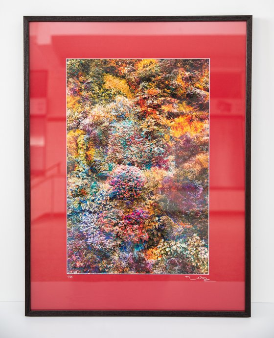 Wall of Nature XXIX (Framed)