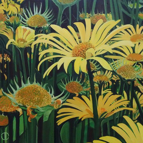 Flowers In The Summer Border by Joseph Lynch