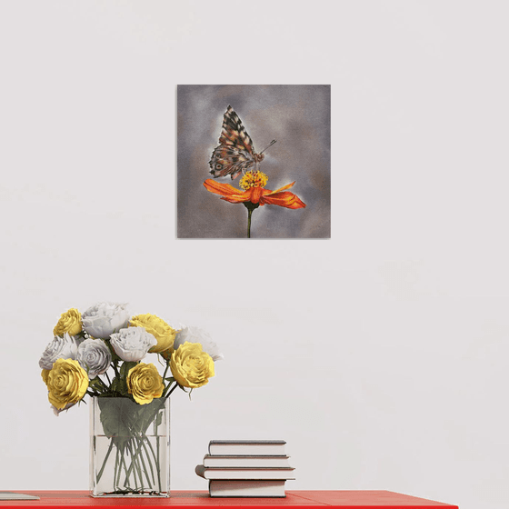 Butterfly on flower