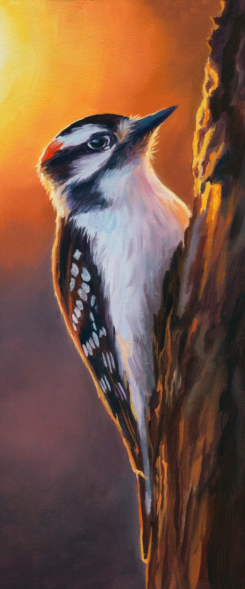 Downy woodpecker bird on a trunk by Lucia Verdejo