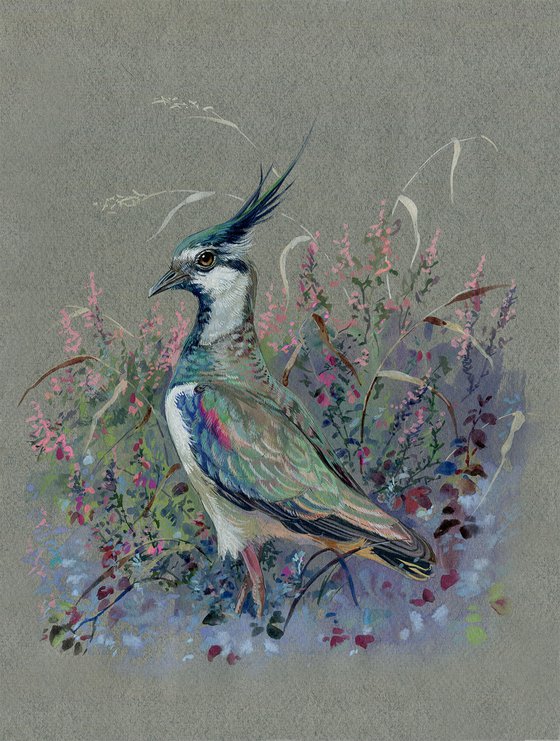 ORIGINAL WATERCOLOR DRAWING BIRD "Lapwing"