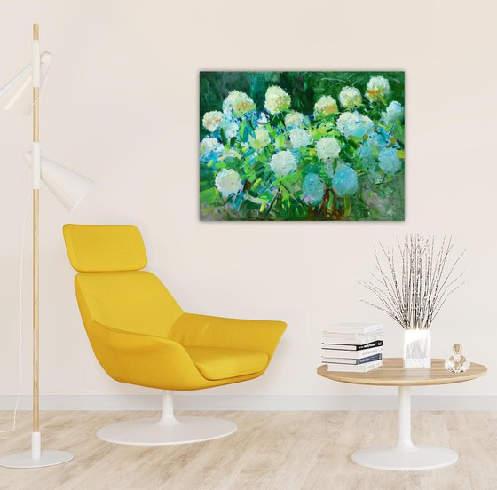 " Hydrangea "