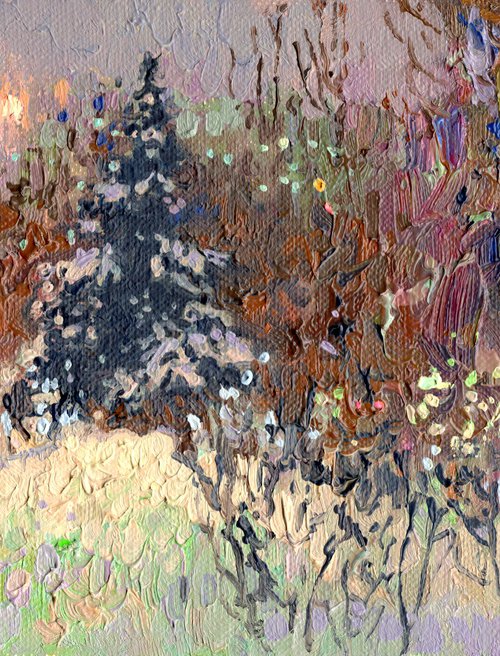 A spruce on a winter boulevard at night by Simon Kozhin